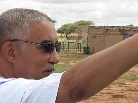 يحي حد أمين