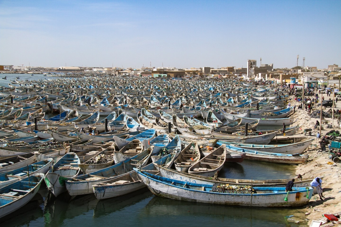 فقدان بحارين إثر غرق زورق للصيد التقليدي قبالة نواذيبو