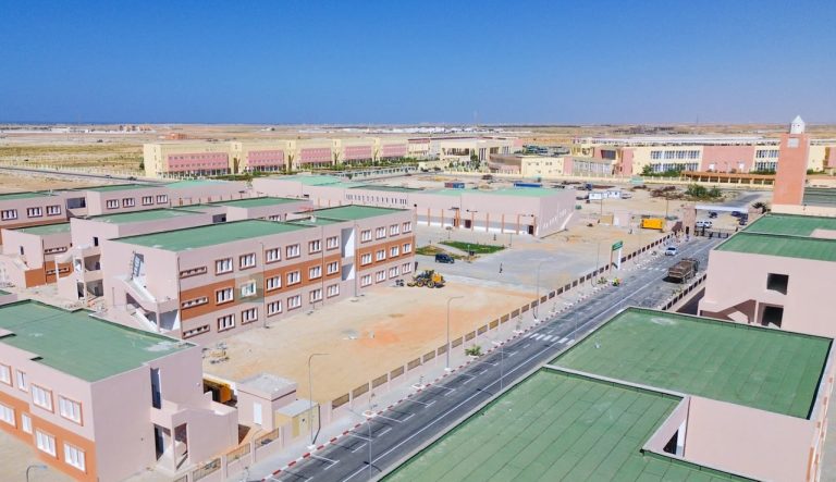 لجنة تمثل أساتذة جامعيين تطالب الرئيس بتفعيل تعهد منحهم قطعًا أرضية