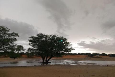 أمطار تتهاطل على مناطق في أربع ولايات.. و75 ملم أعلى حصيلة بالمجرية