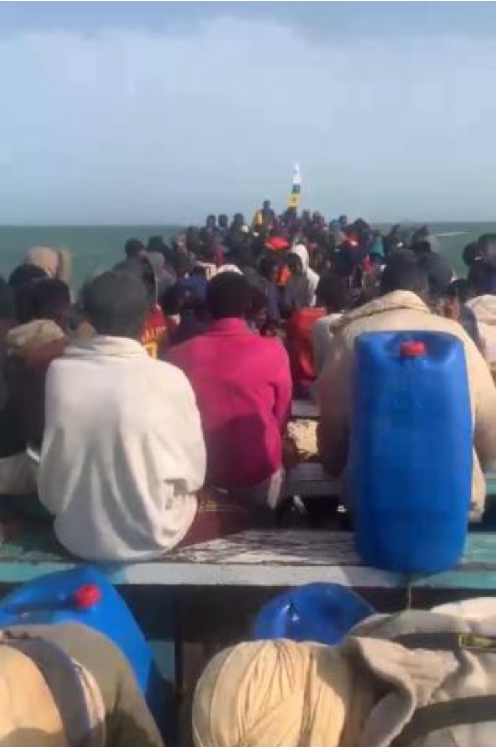 ضمن جهود مكافحة الهجرة غير النظامية.. خفر السواحل يوقف زورقاً يقل 223 مهاجراً