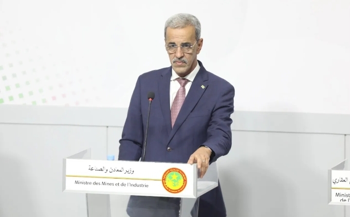 ولد الزين: لا يمكن للسلطات منع أي شخص من التعبير عن رأيه