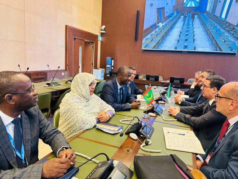 وزير الصحة يبحث مع فايزر تعزيز التعاون في مجالي الأدوية واللقاحات