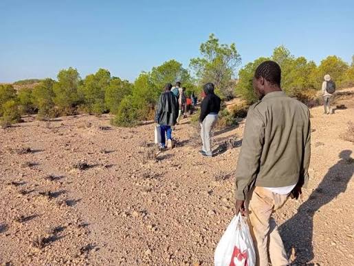 النيجر: وفاة 49 شخصا عطشاً في الصحراء قرب حدود الجزائر ومالي